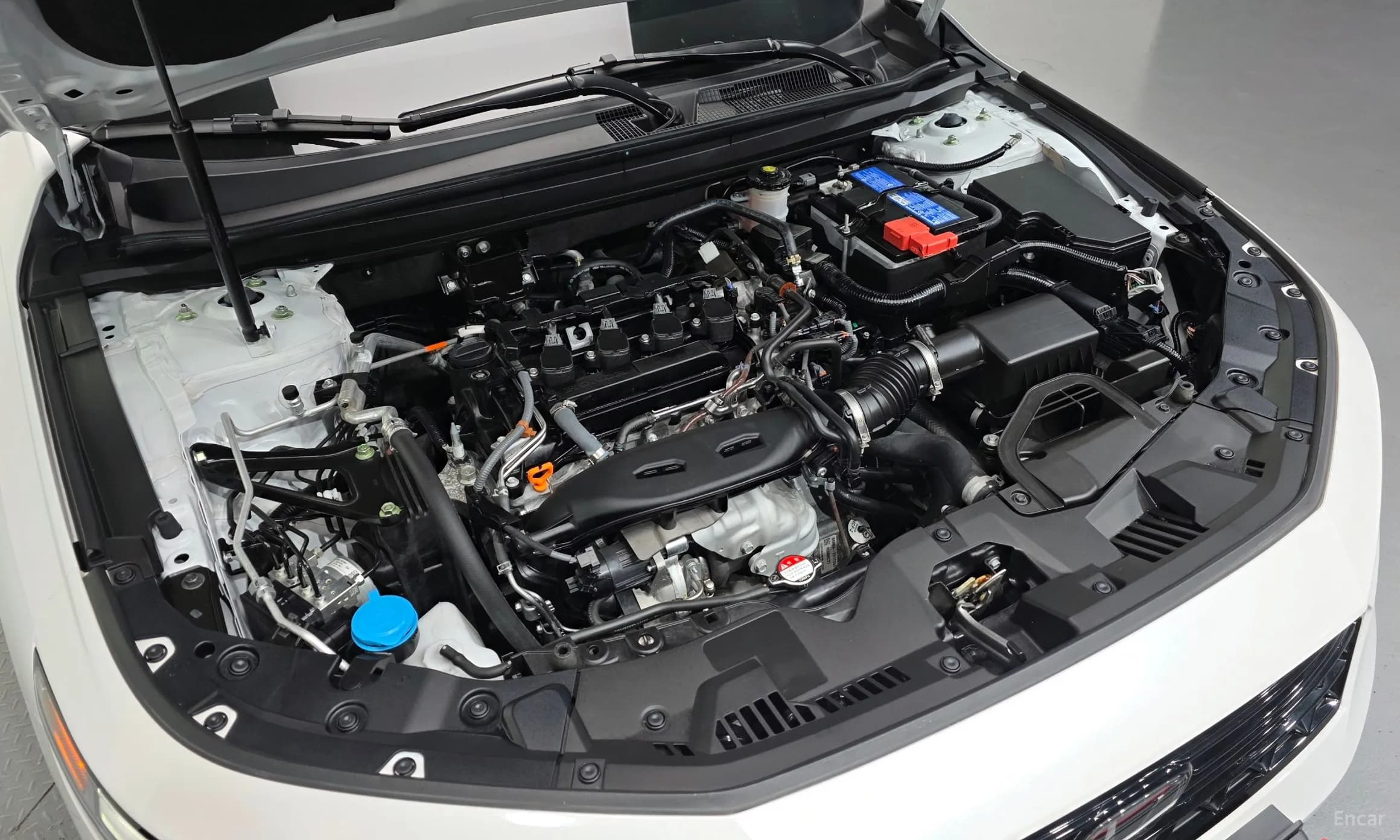 Accord 11th Generation