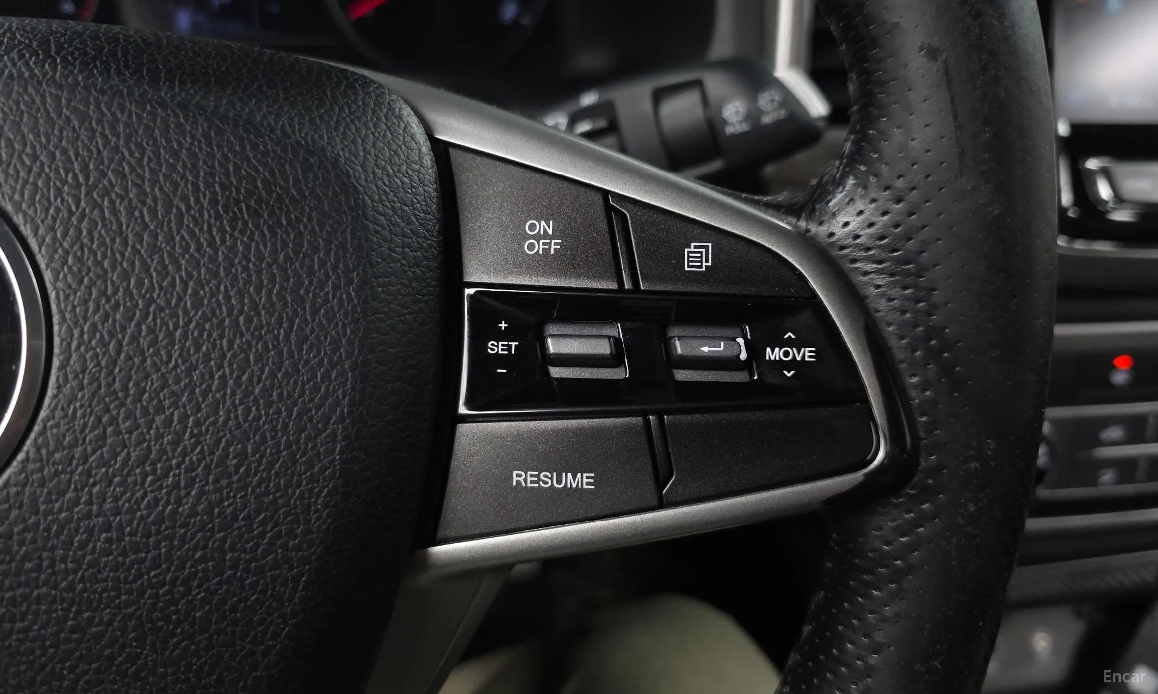 Rexton Sports
