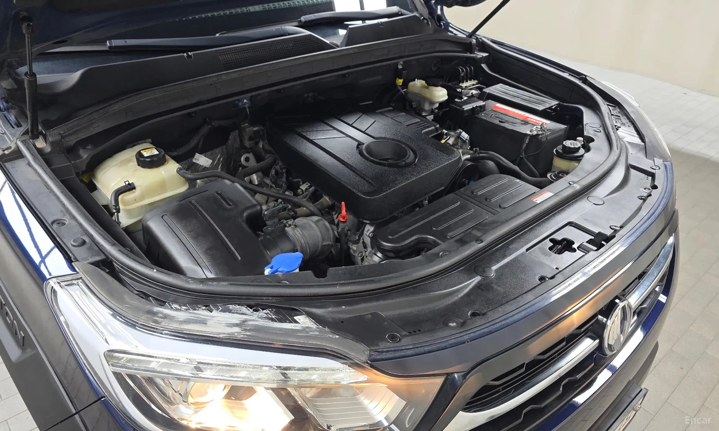 Rexton Sports