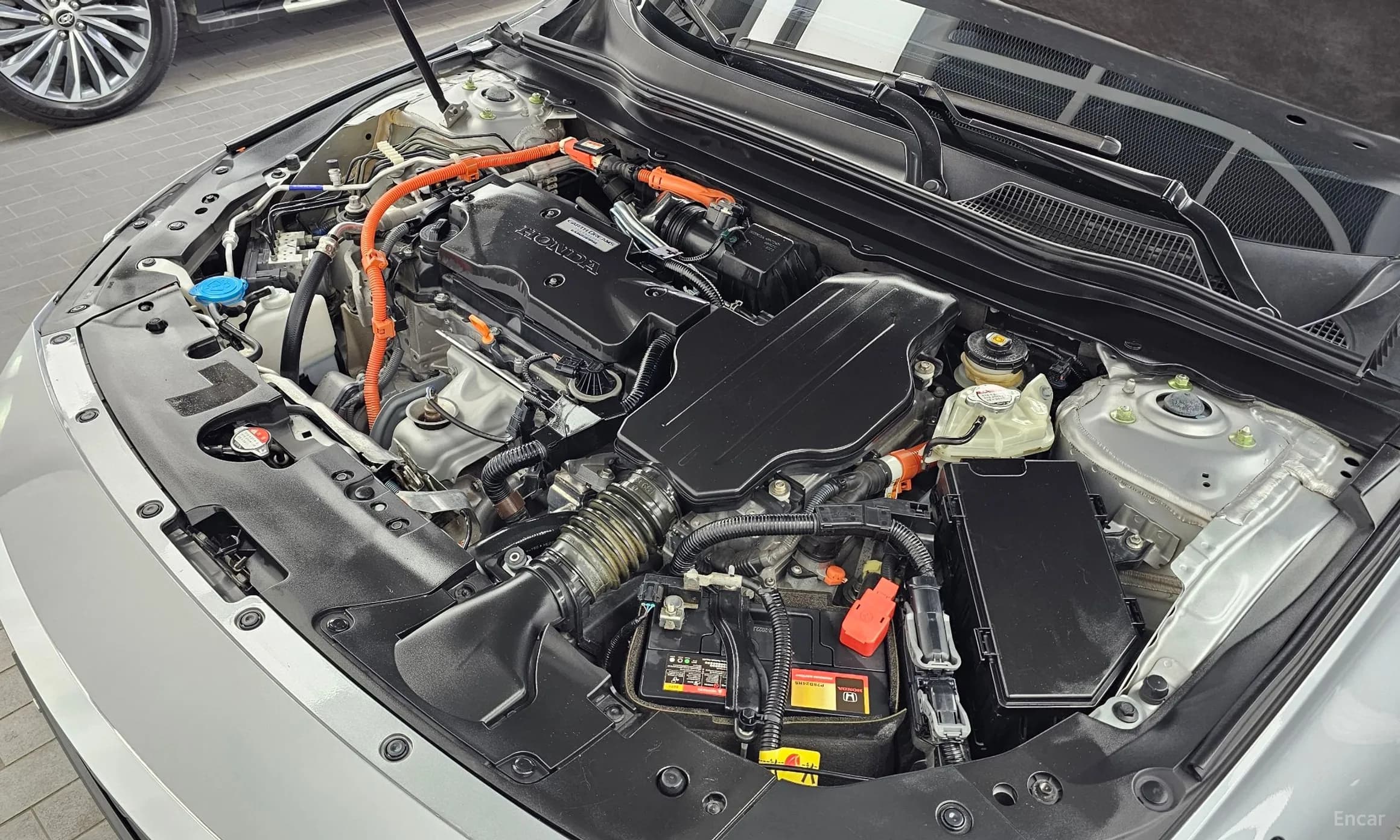 Accord 10th Generation