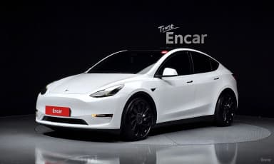 Model Y