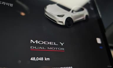 Model Y
