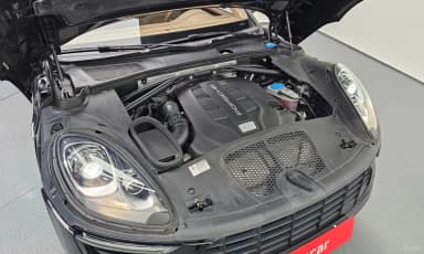 Macan