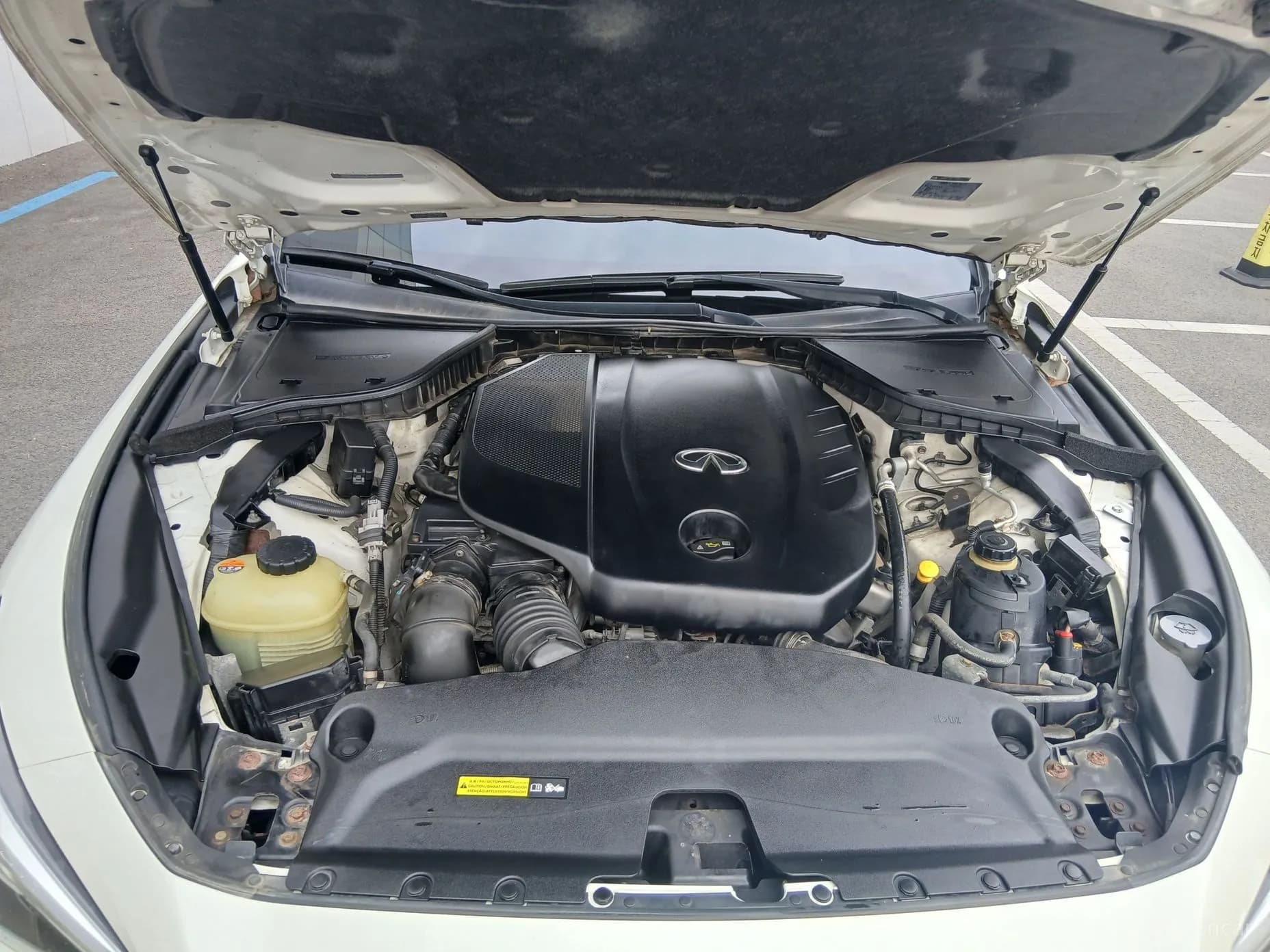 Q50