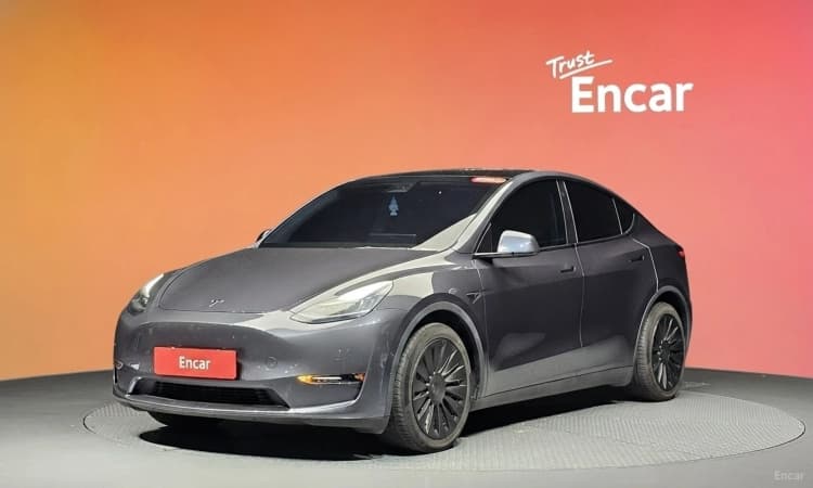 Model Y