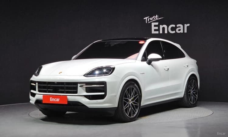 Cayenne (PO536)