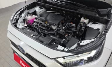 RAV4 5th Generation