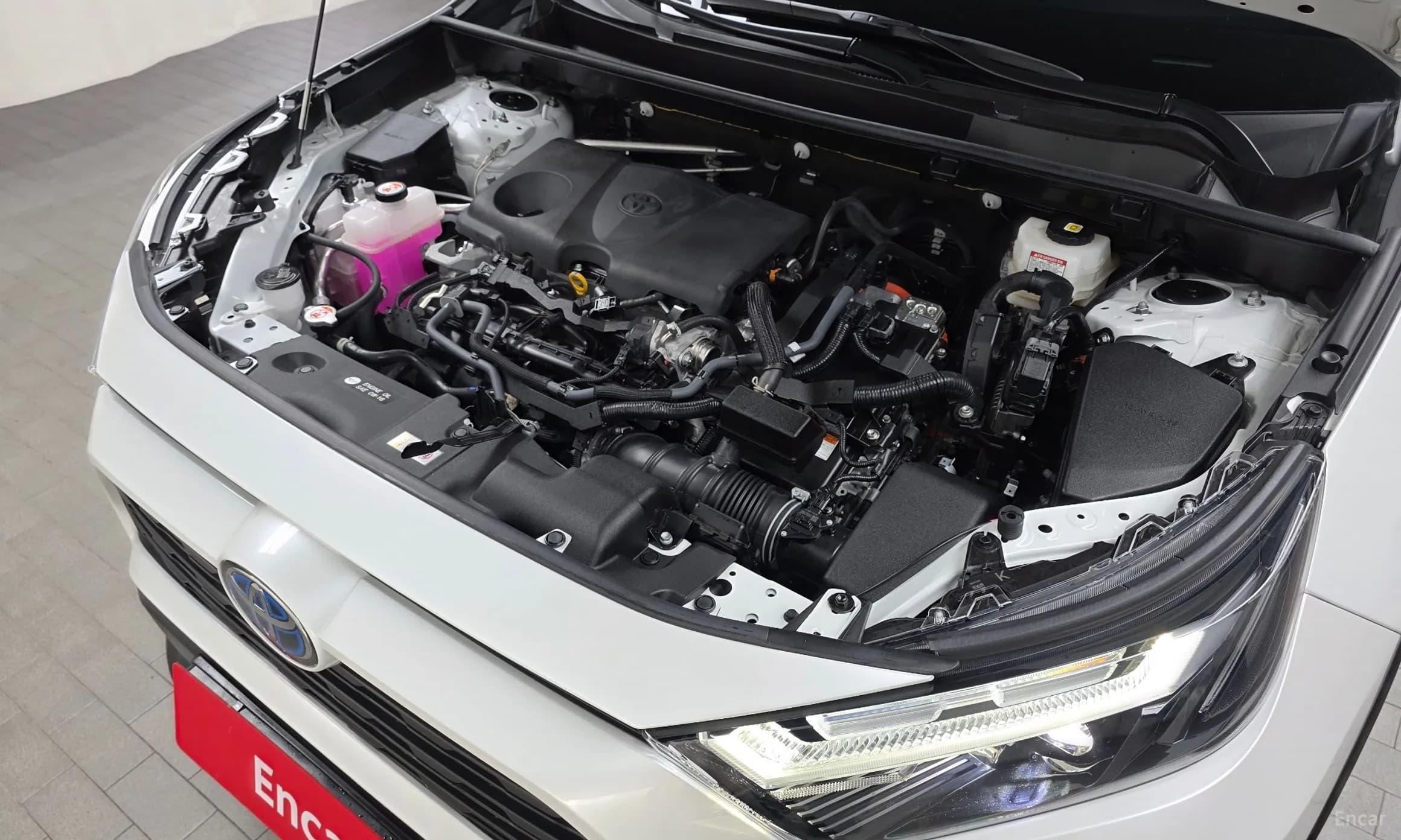 RAV4 5th Generation