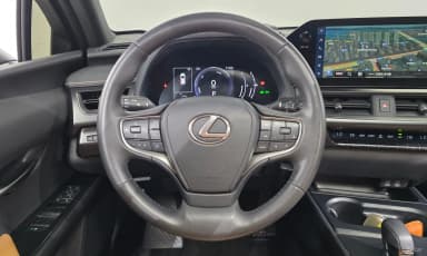 UX300h