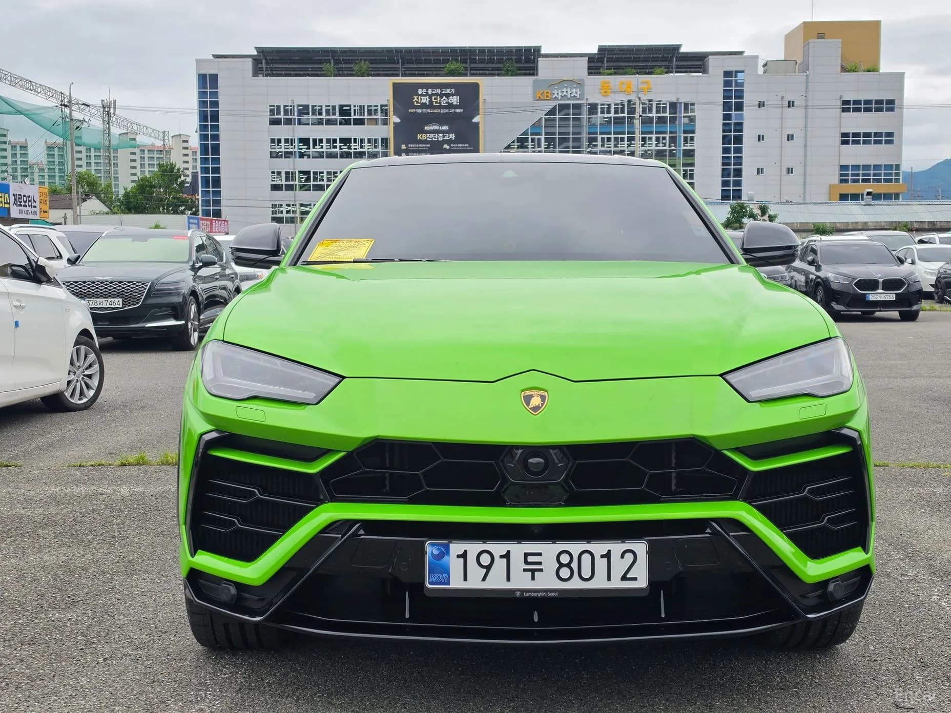 Urus