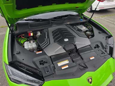 Urus
