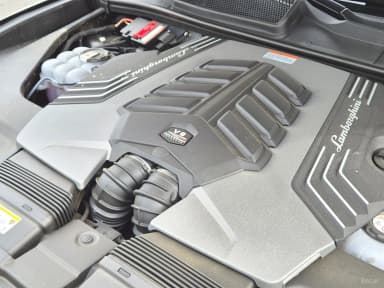 Urus