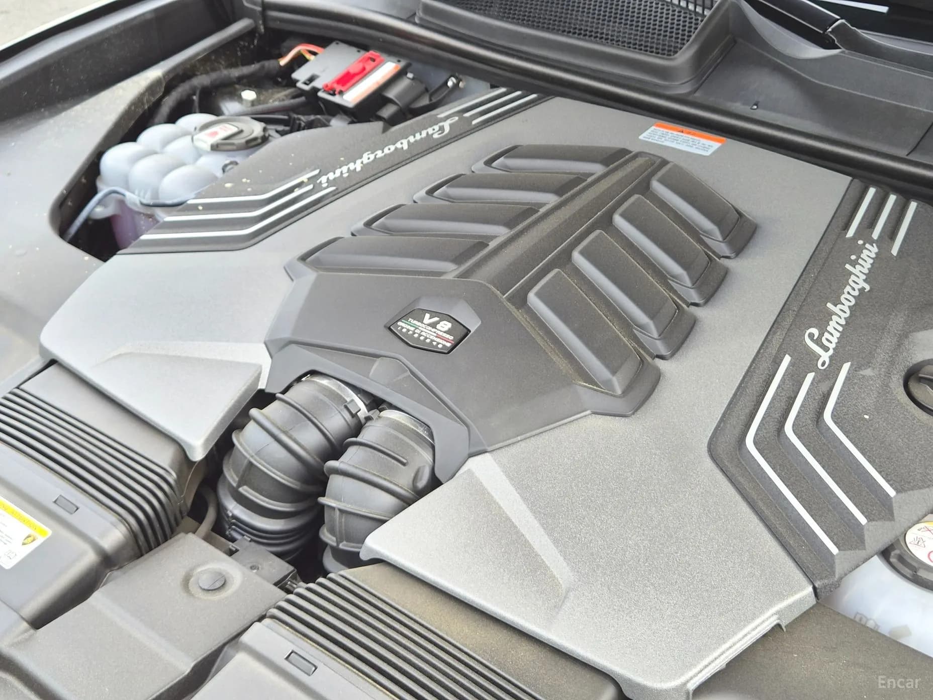 Urus