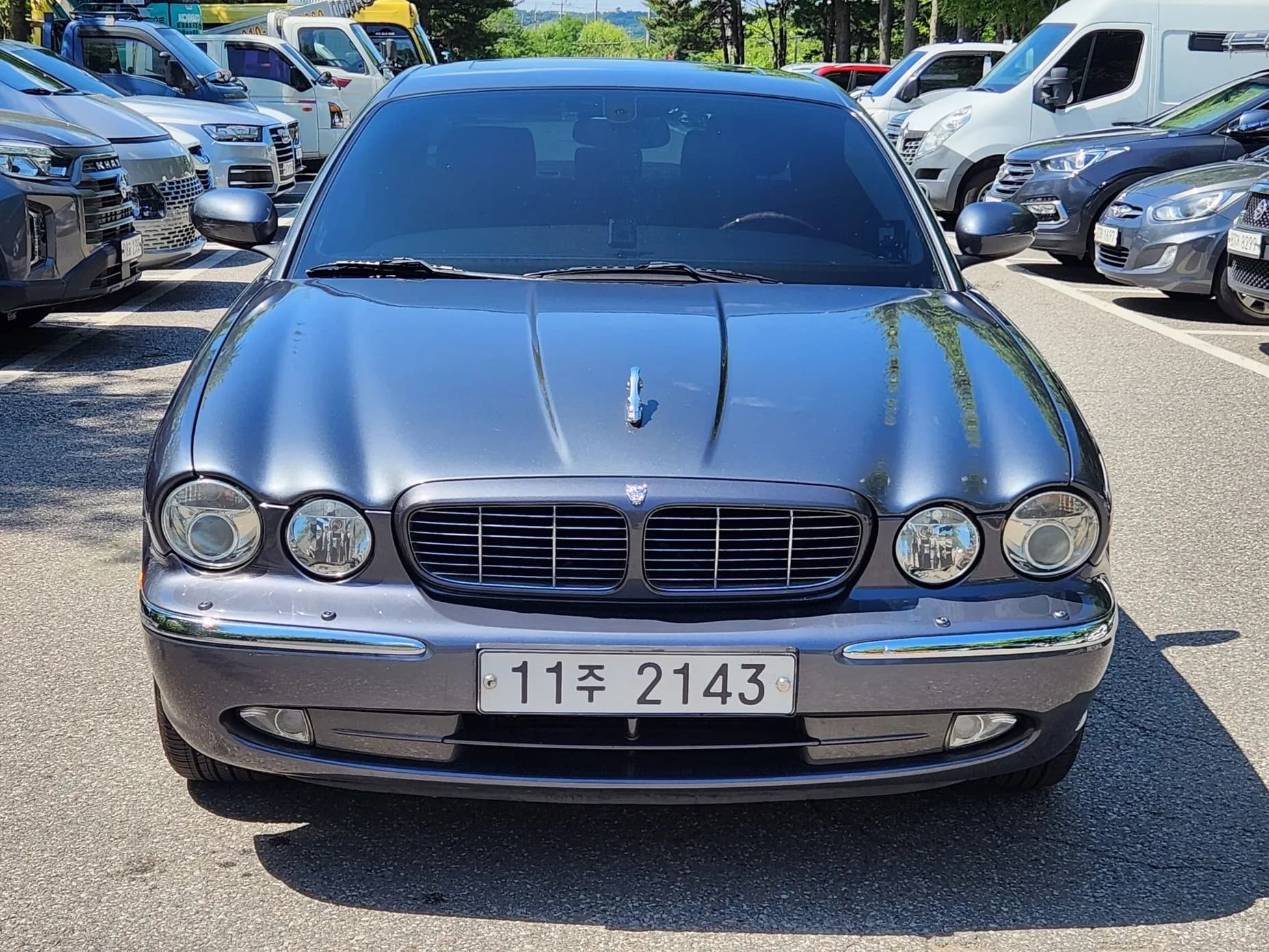 XJ-8