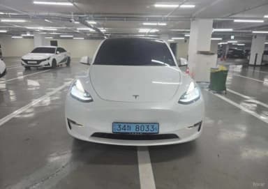 Model Y
