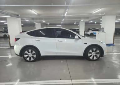 Model Y