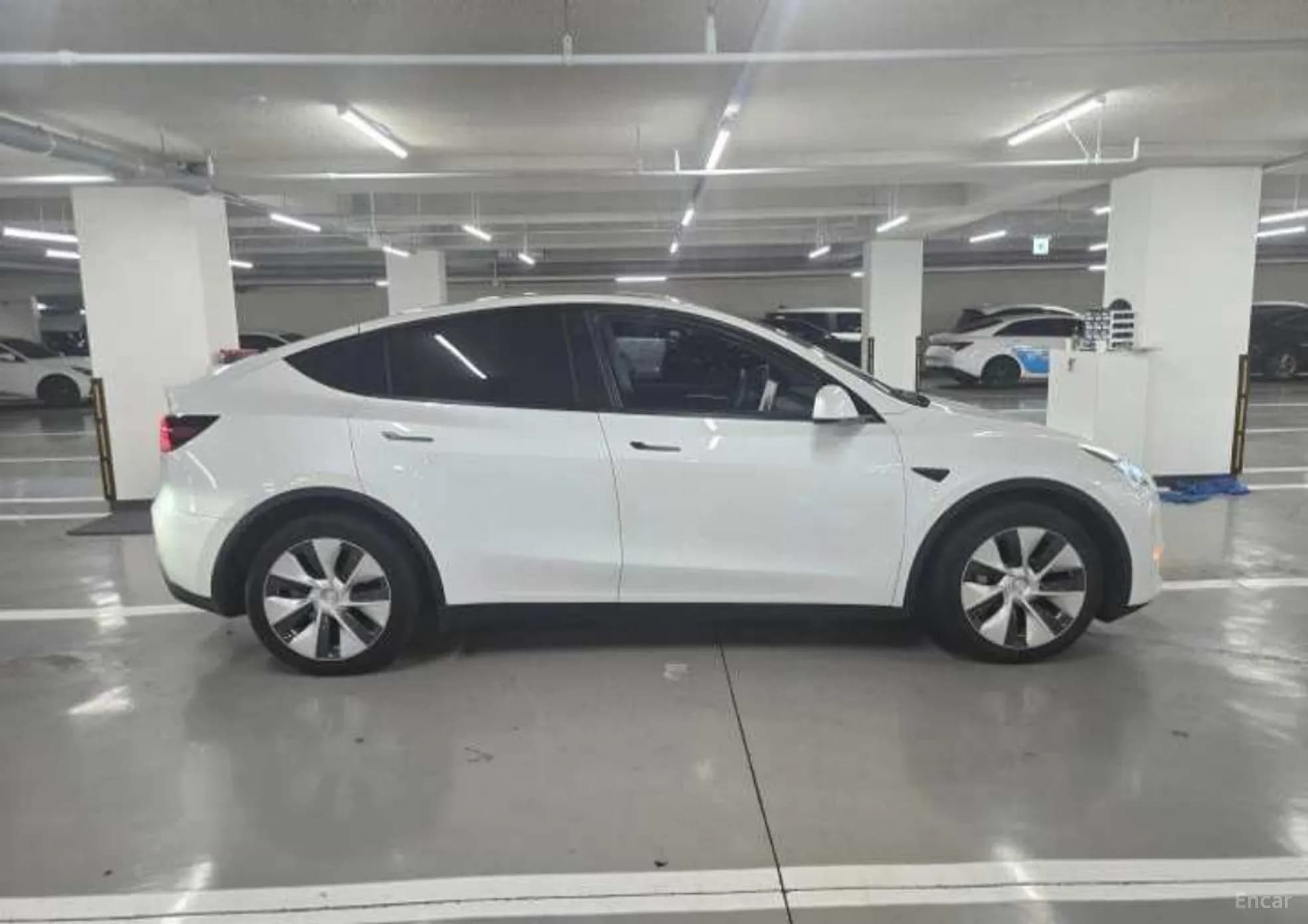 Model Y