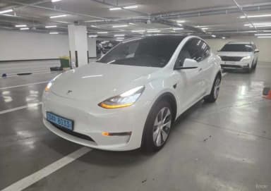 Model Y