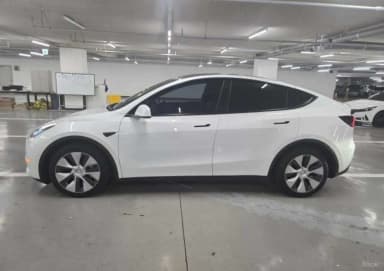 Model Y