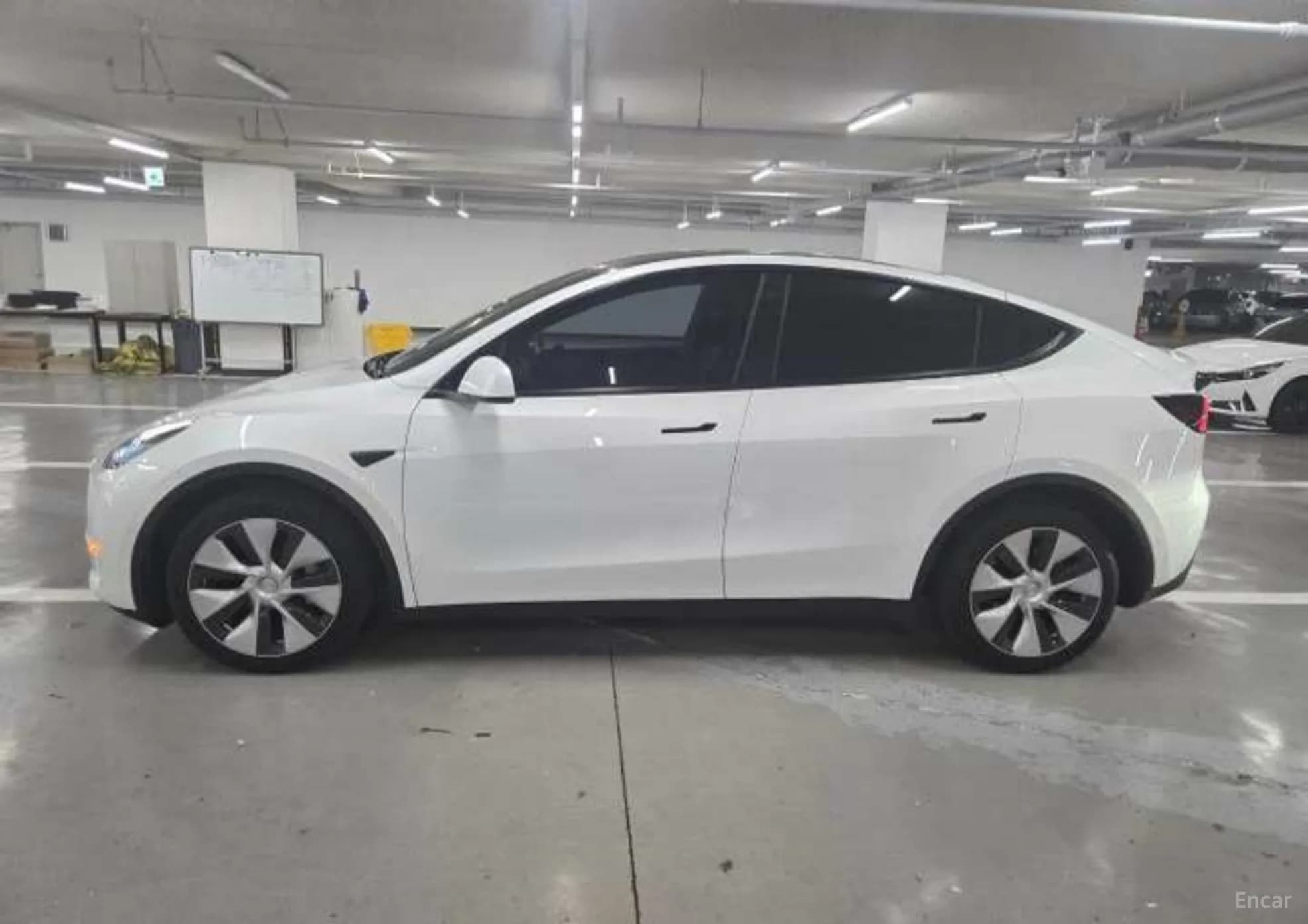 Model Y