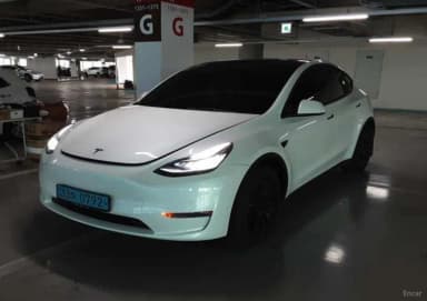 Model Y