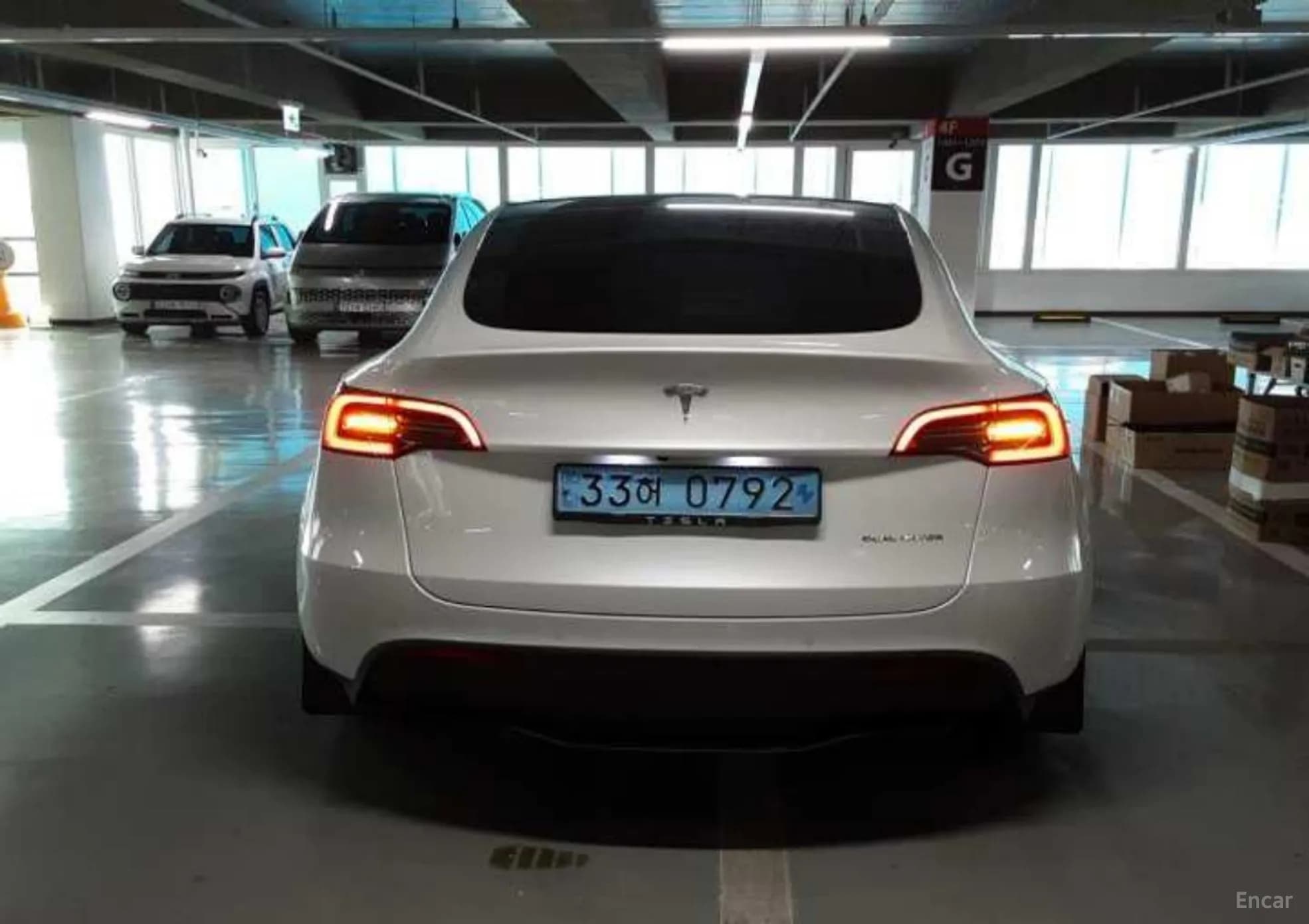Model Y