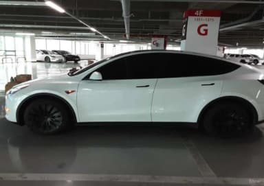 Model Y