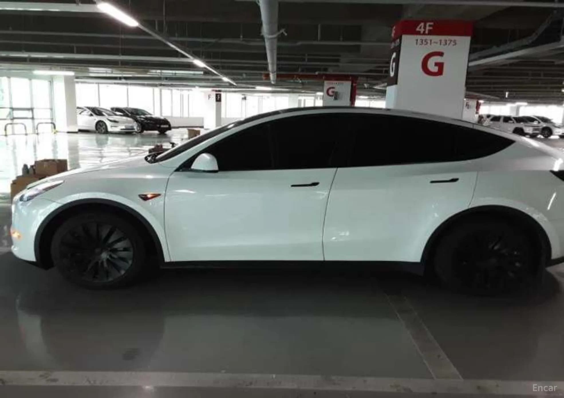 Model Y