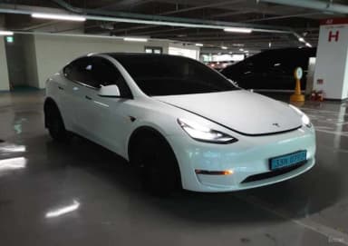 Model Y