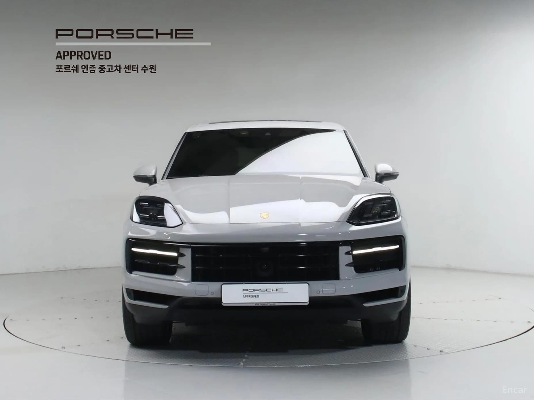 Cayenne (PO536)
