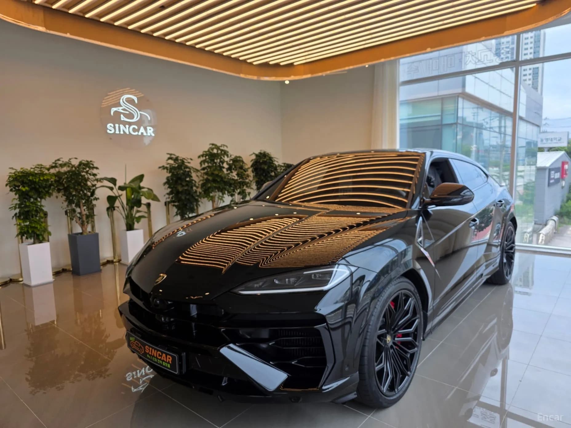 Urus