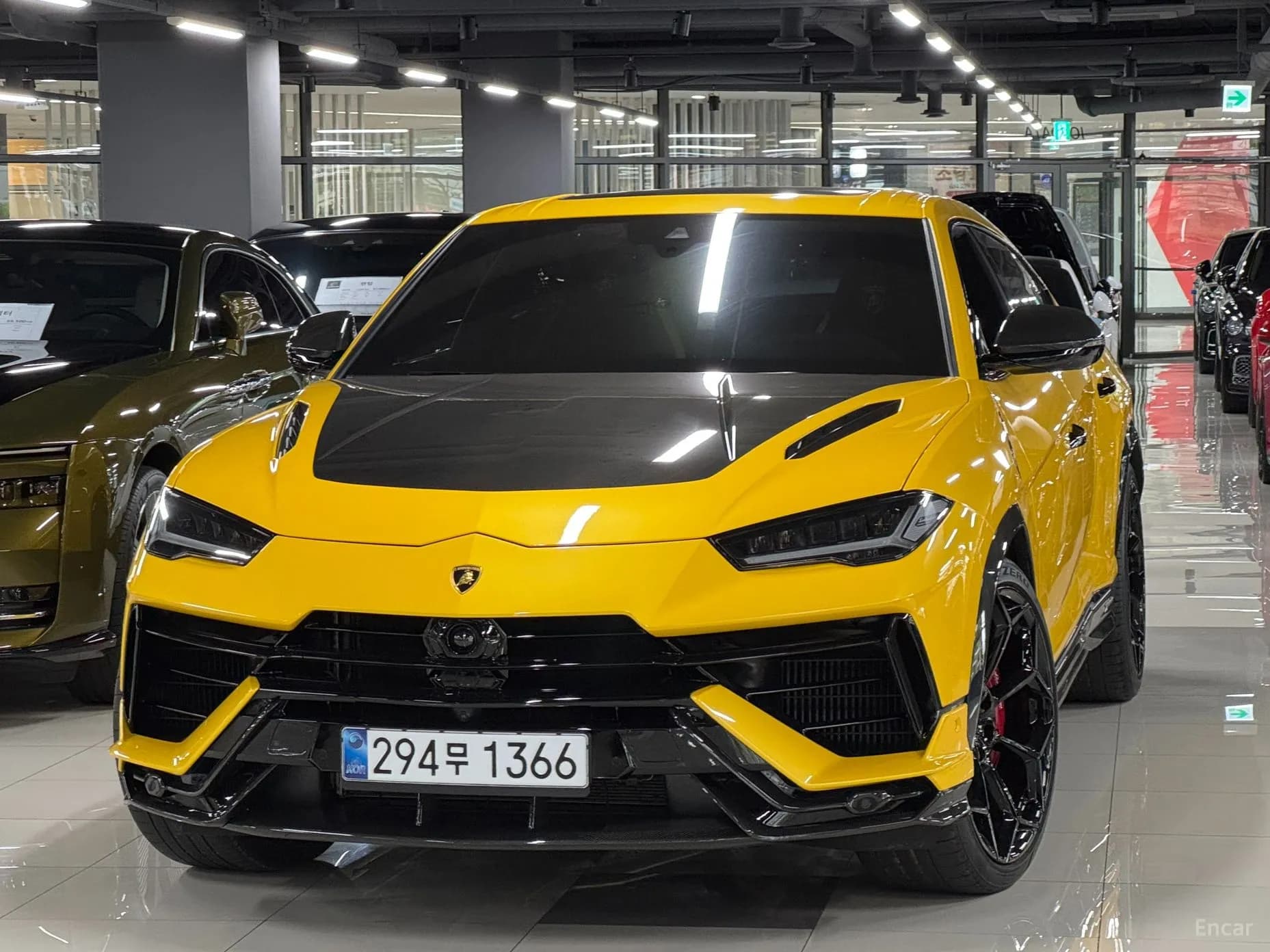 Urus