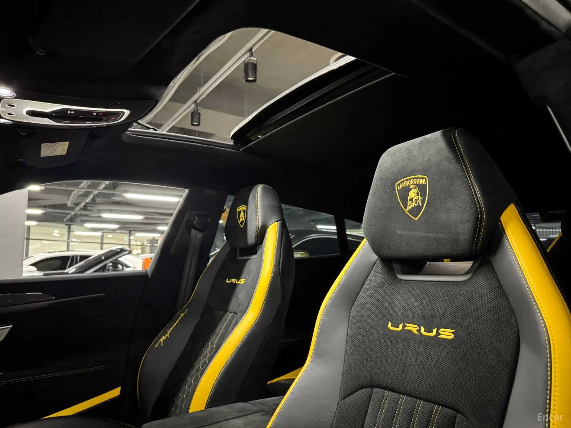 Urus