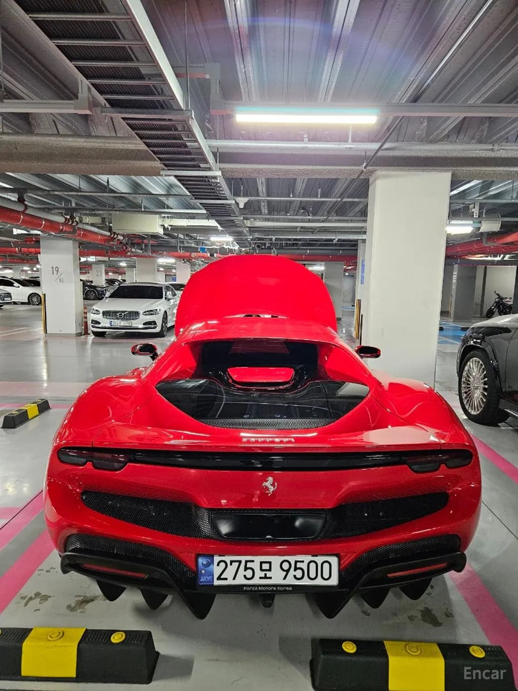 296 GTB