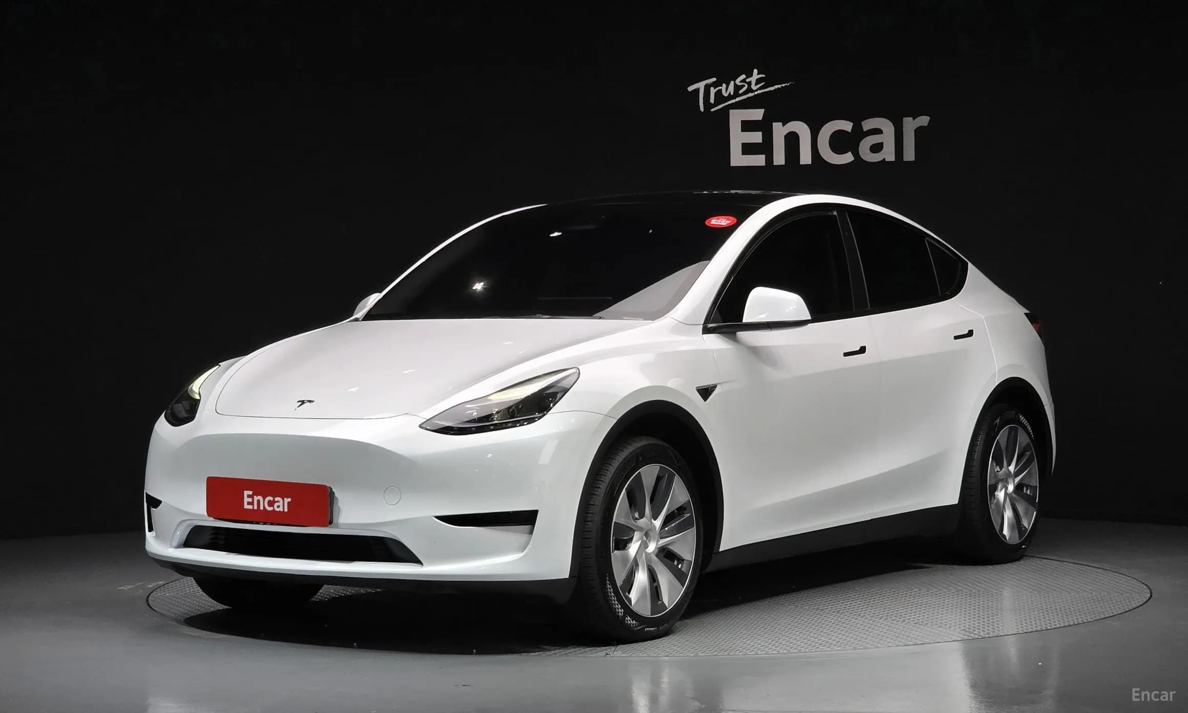 Model Y