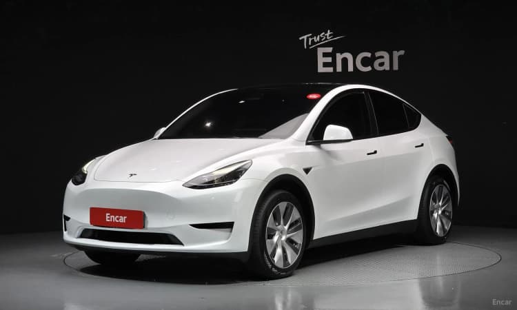 Model Y