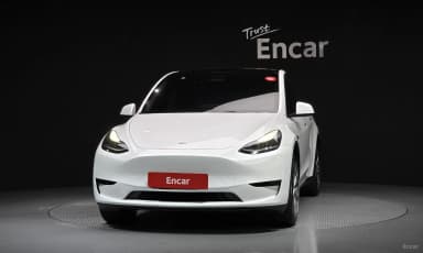 Model Y