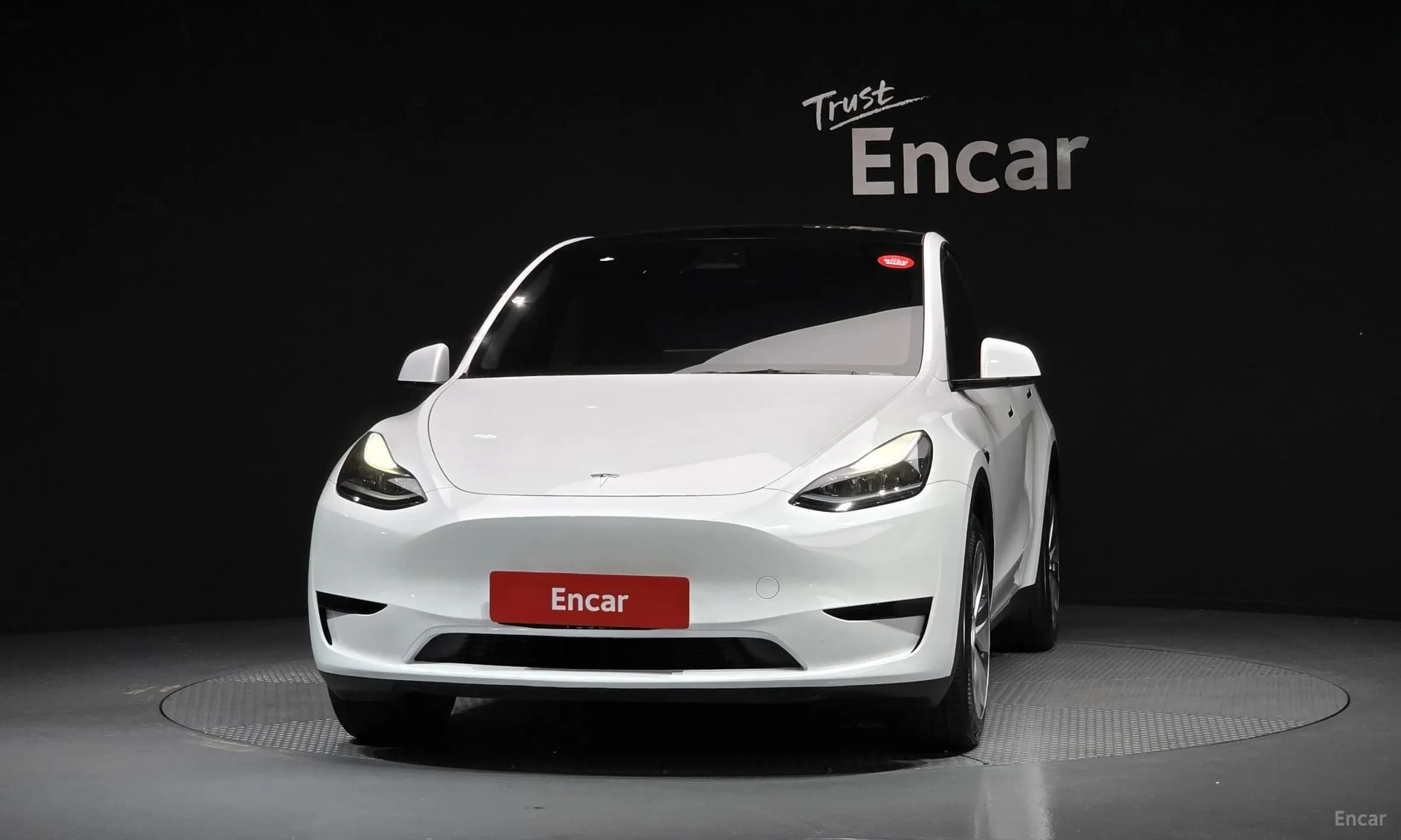 Model Y