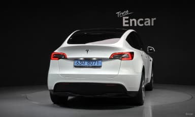 Model Y