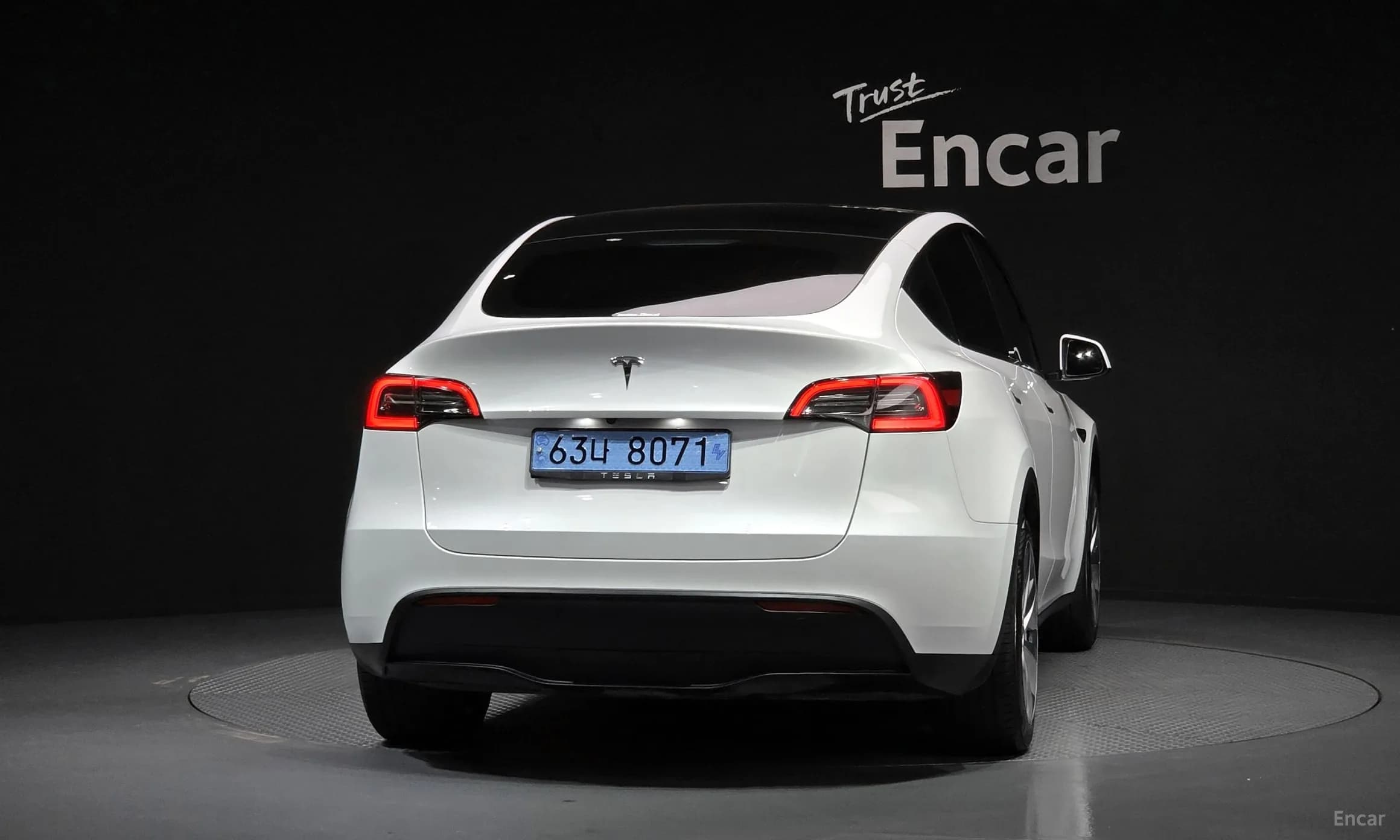 Model Y