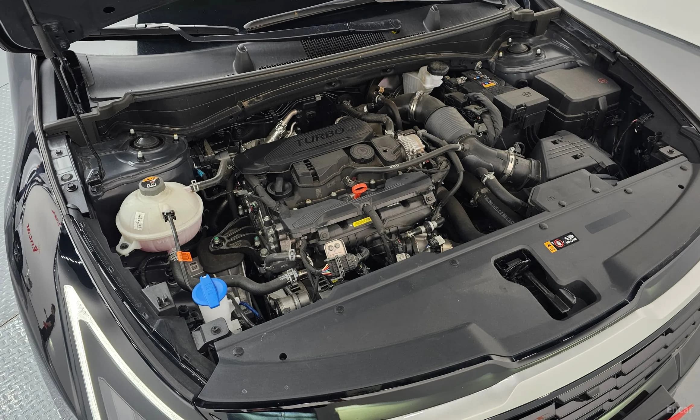 Sportage 5th Generation