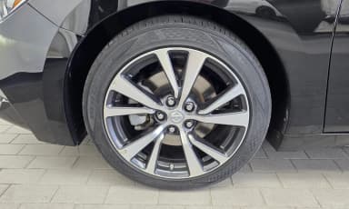 Maxima (A36)