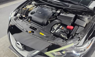 Maxima (A36)