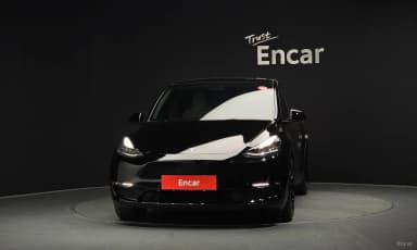 Model Y