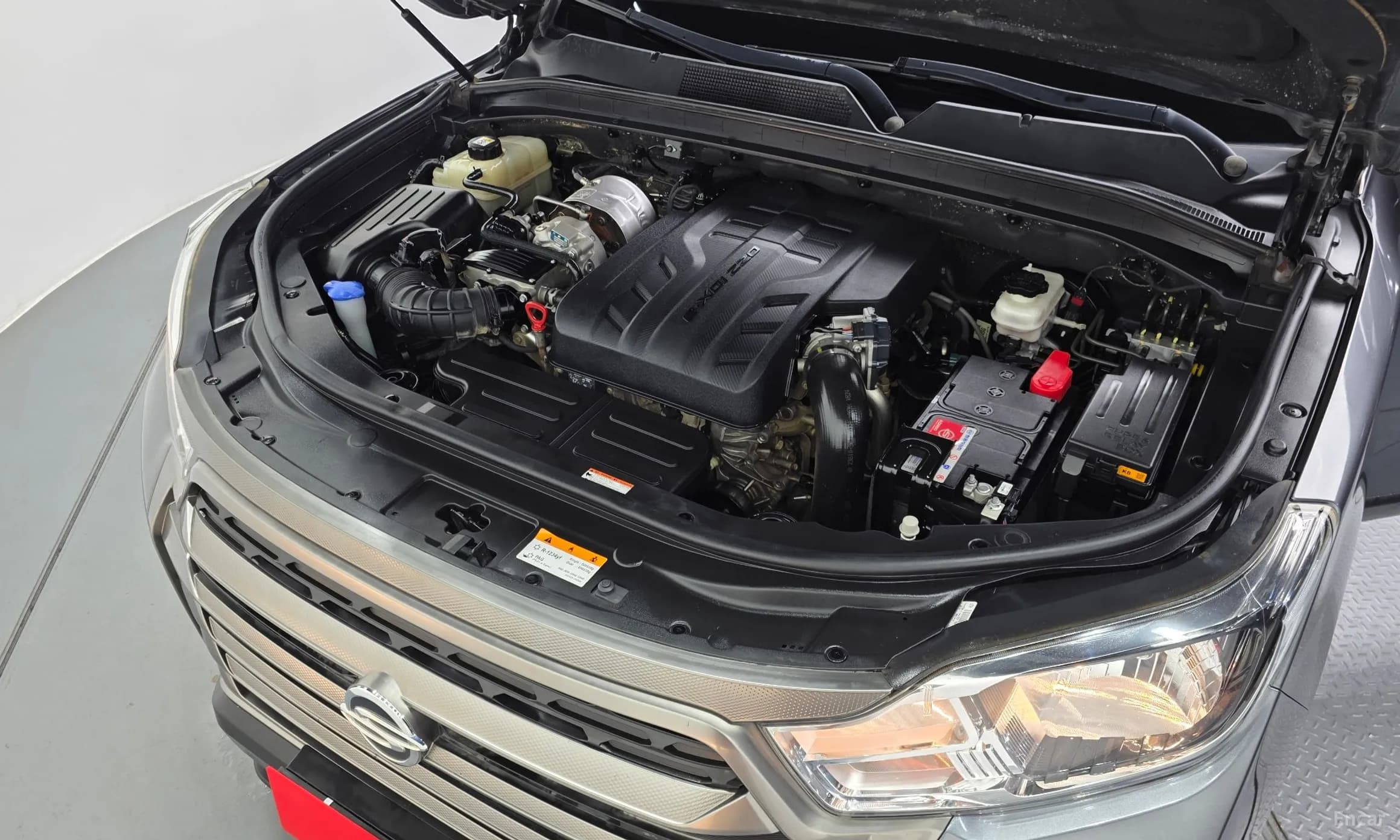 Rexton Sports