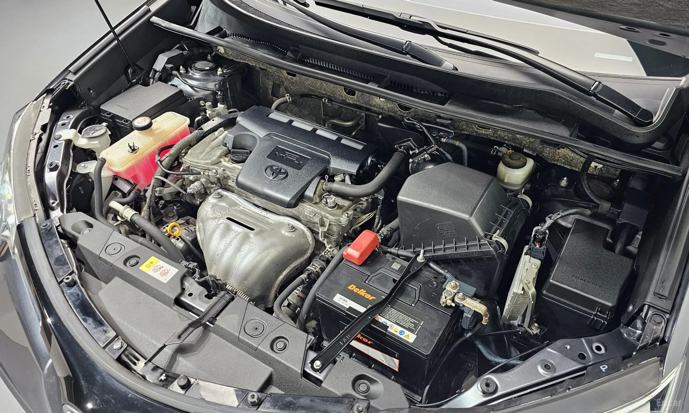 RAV4