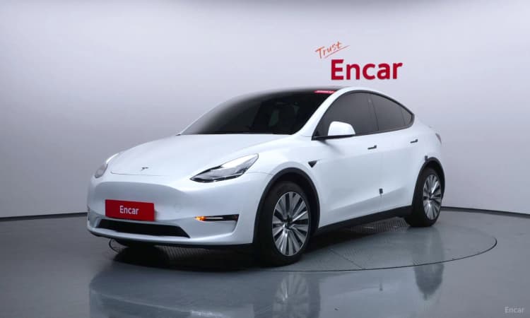 Model Y