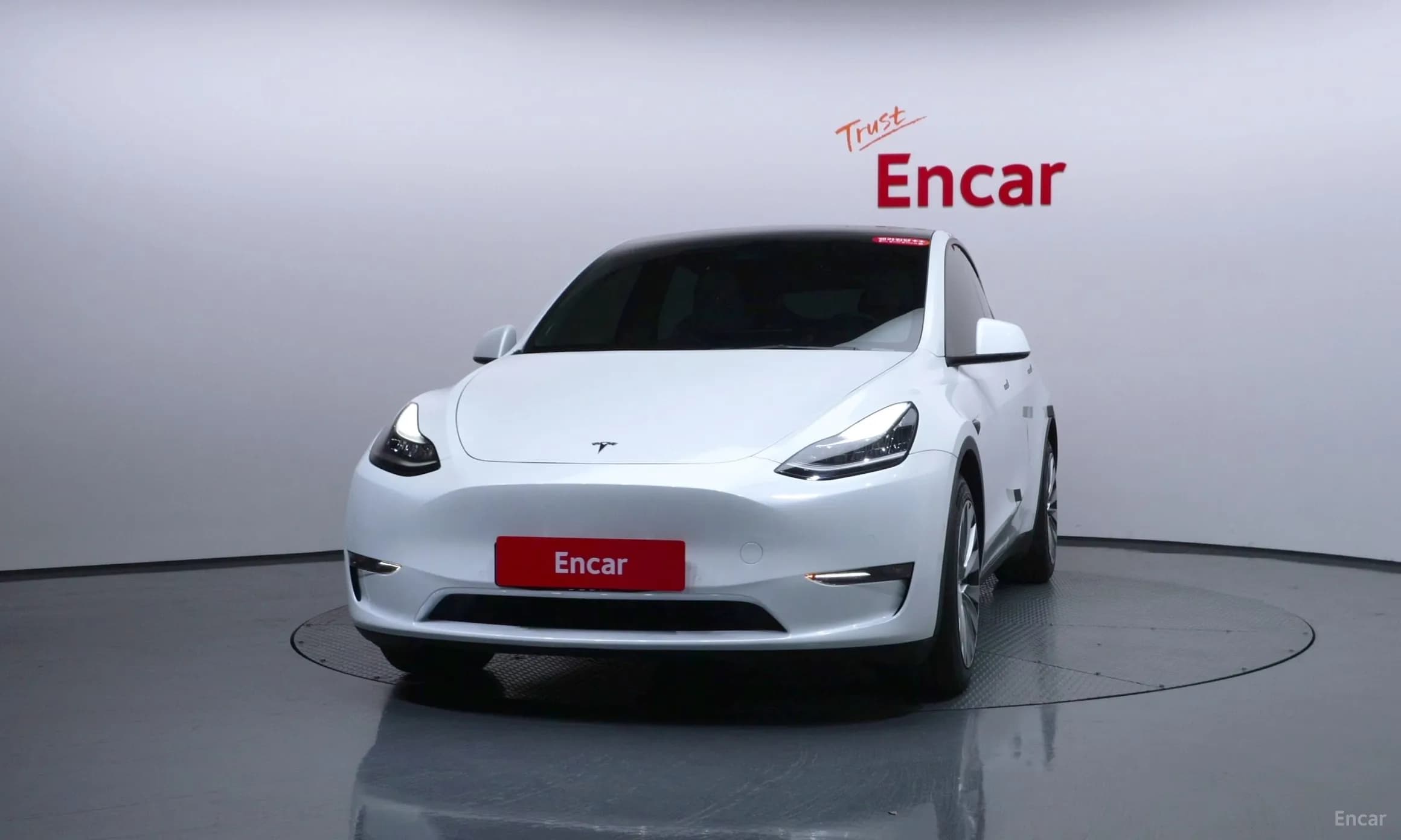 Model Y