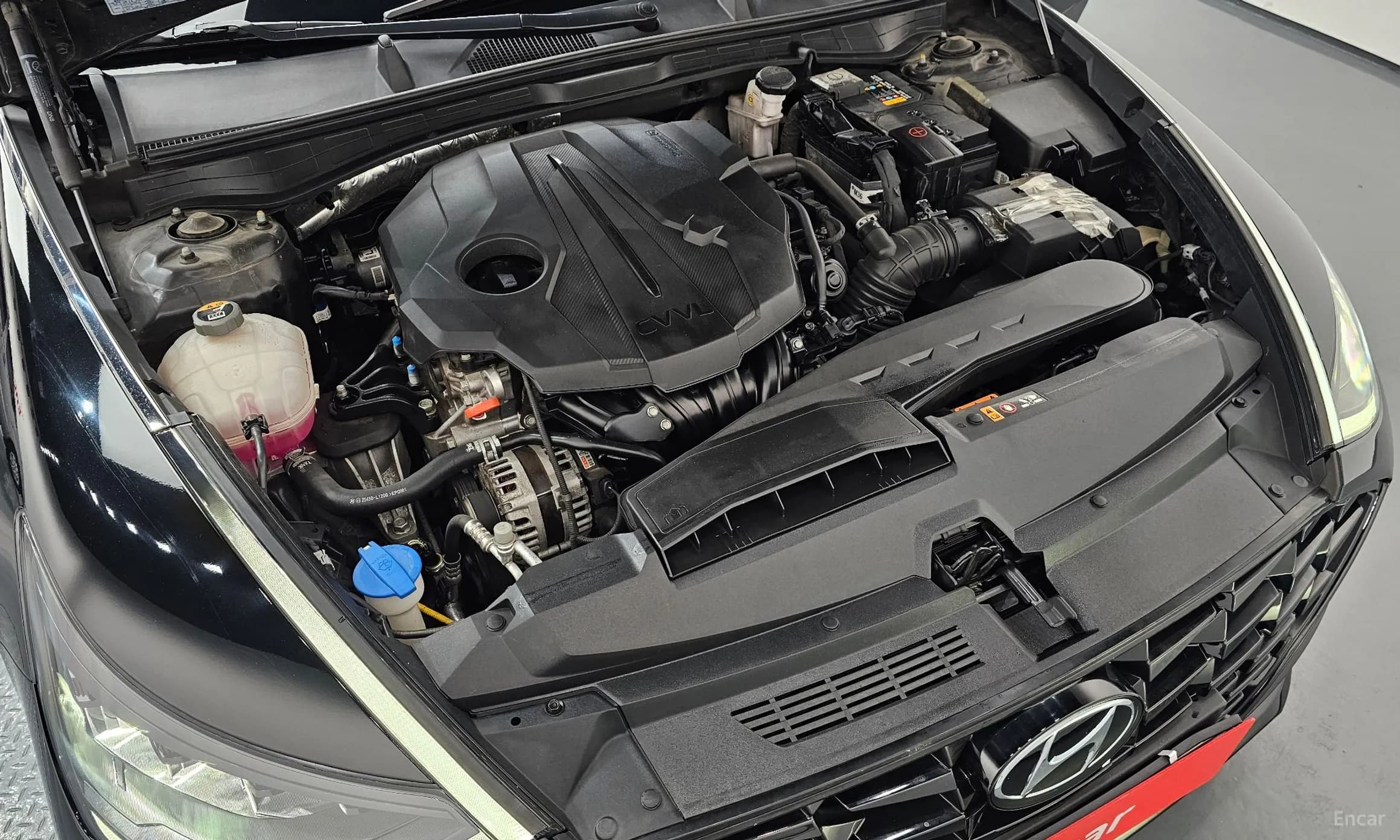 Sonata (DN8)