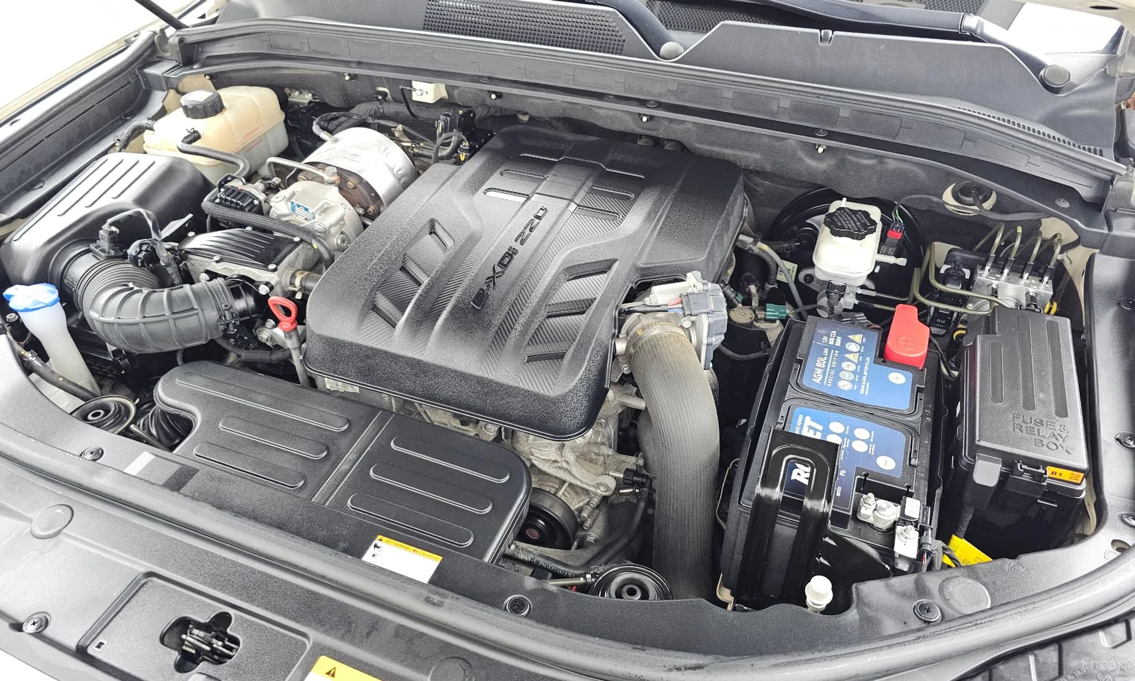 Rexton Sports